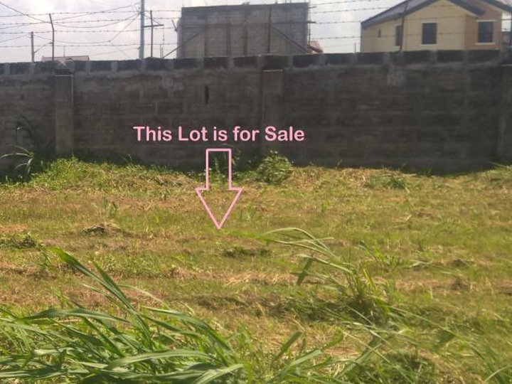 Residential lot for sale with big discount. Assume balance or pasalo.