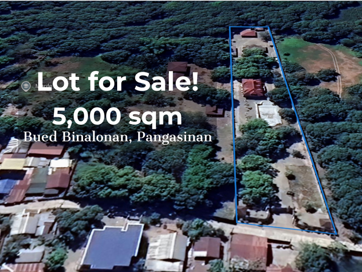 HOUSE AND LOT FOR SALE IN BINALONAN, PANGASINAN