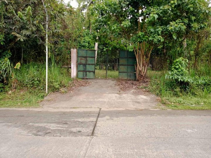 Farm Lot For Sale Clean Title Few Minutes to Tagaytay