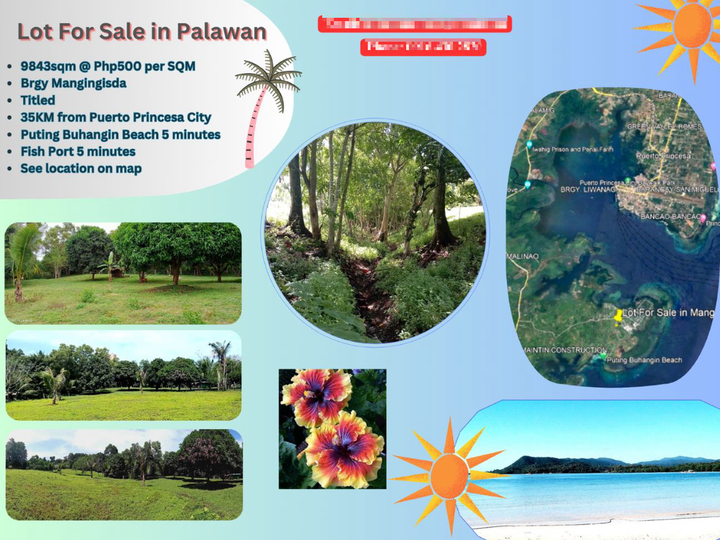 Titled Lot For Sale By Owner in Puerto Princesa Palawan-9843sqm