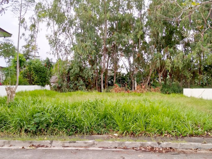 540 sqm Residential Lot For Sale in San Pedro Laguna