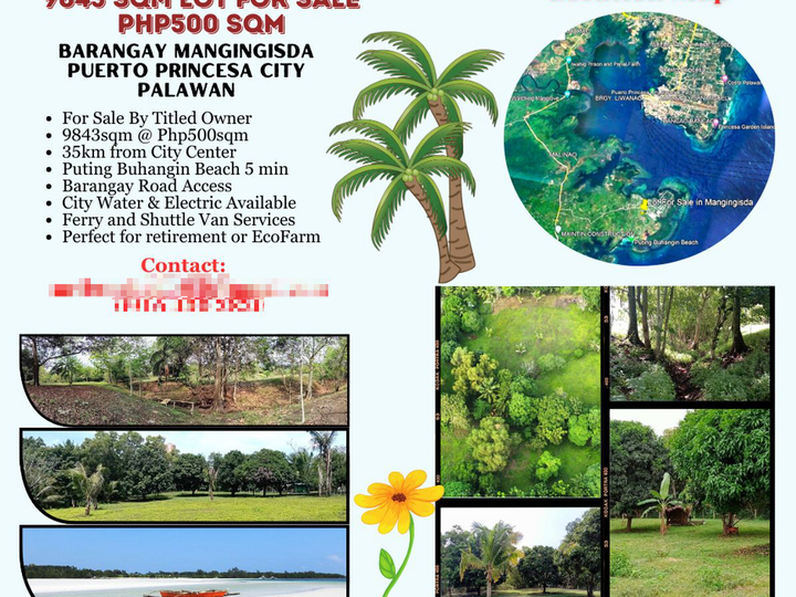 Titled Lot For Sale By Owner in Puerto Princesa Palawan-9843sqm