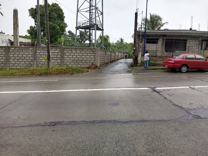 3,835SQM LOT FOR SALE IN MAHABANG KAHOY INDANG CAVITE