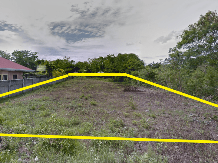 1,200 sqm Residential Lot For Sale in Panglao Bohol