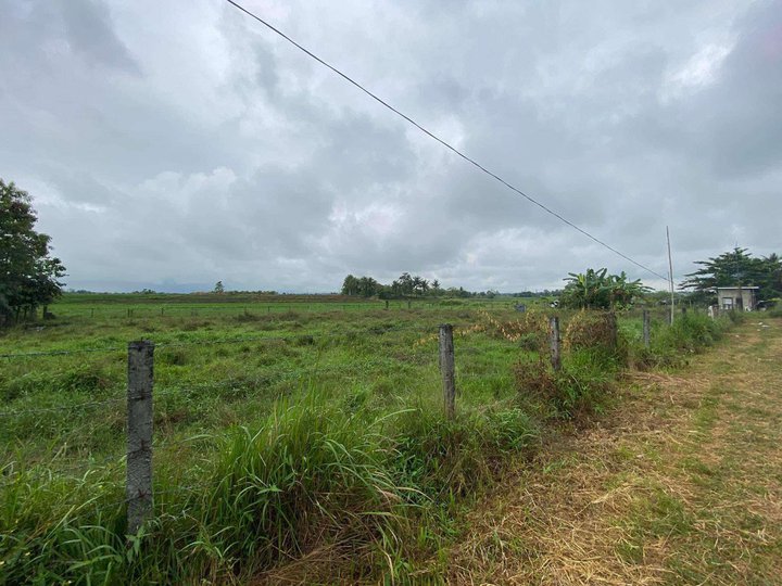 Lot for Sale in Santiago Isabela