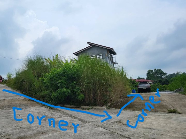 Lot for sale in Silang Cavite 130 sqm