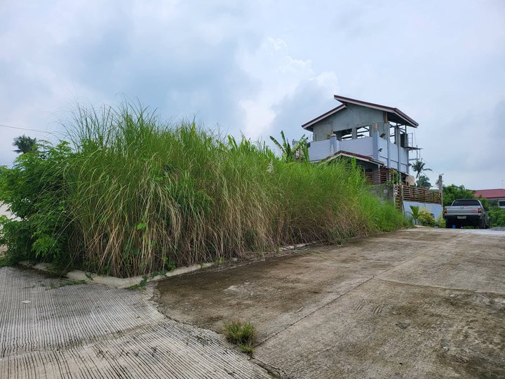 140 sqm residential farm lot for retirement and Investment-Silang