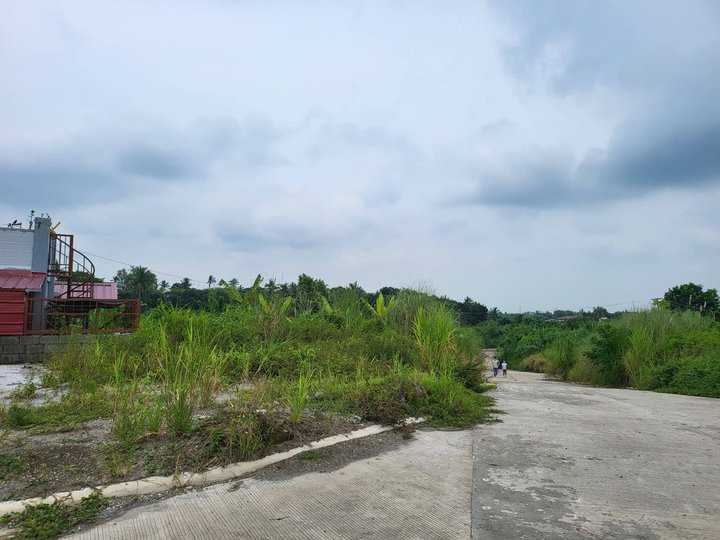 Residential Lot in Silang Cavite 140 sqm along the road