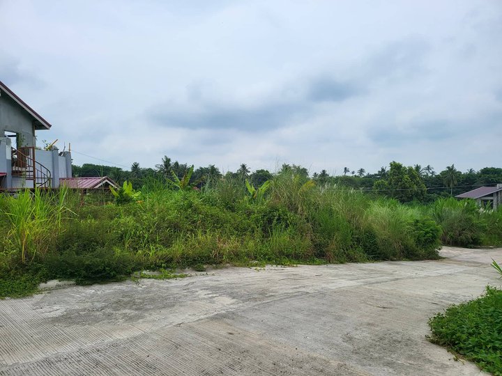 Lot for Sale in Silang Cavite 130 sqm