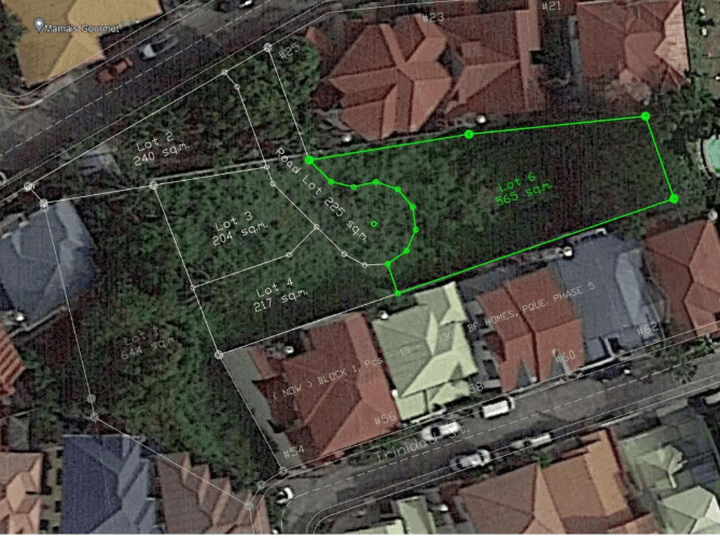 565 sqm Residential Lot For Sale in BF Homes Paranaque Metro Manila