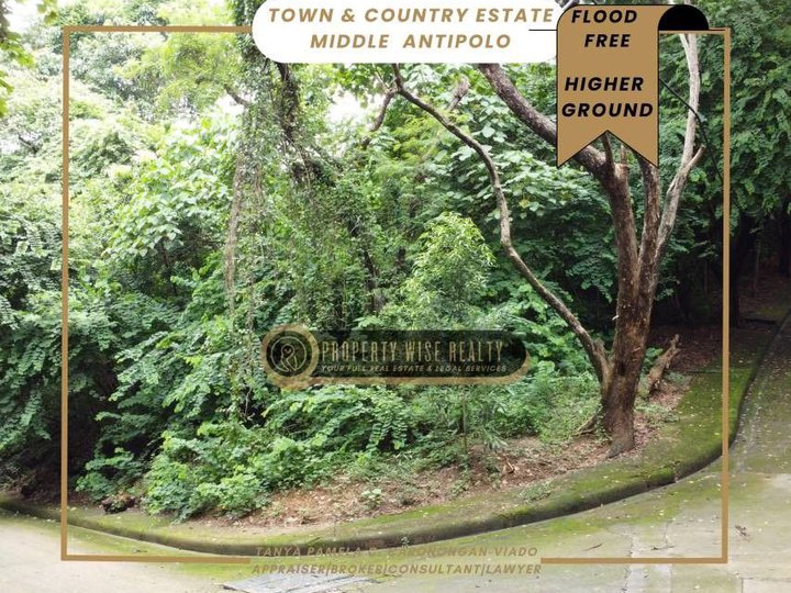 Lot for Sale with City View | Town & Country Estate Antipolo