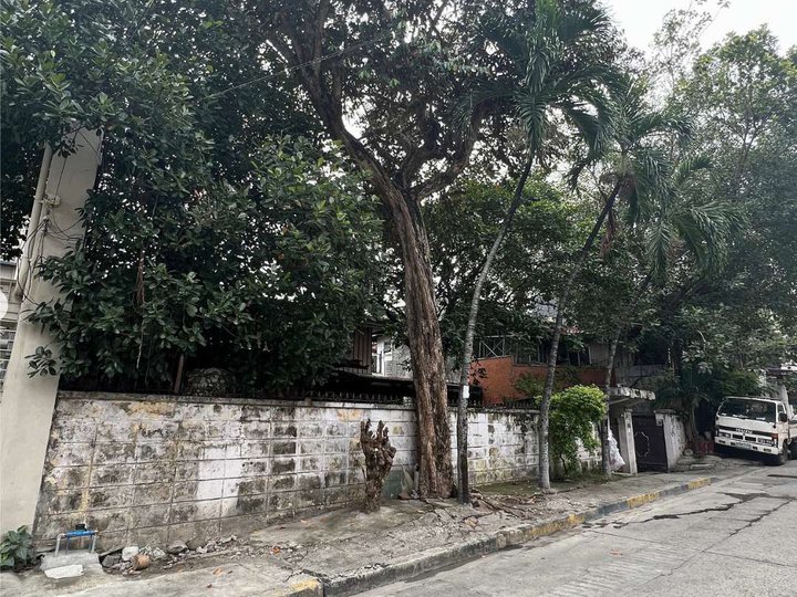 449 sqm Mandaluyong Lot For Sale near BGC and Makati , Good Property for Build And Sell Projects