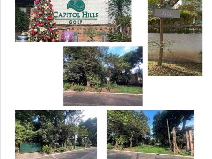 1,087 sqm Residential Lot For Sale in Ayala Heights Quezon City