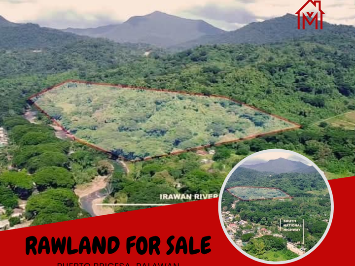 9 hectares Farm Lot For Sale in Puerto Princesa Palawan