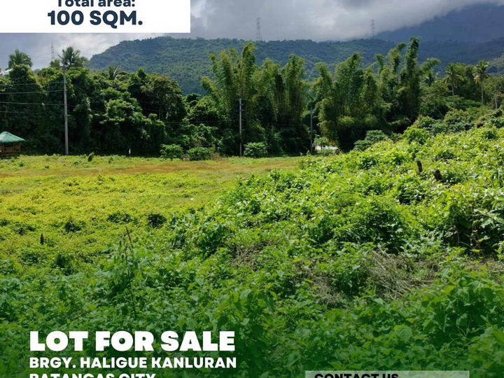 LOT FOR SALE 100 Sqm. Residential Lot For Sale in Batangas City Batangas