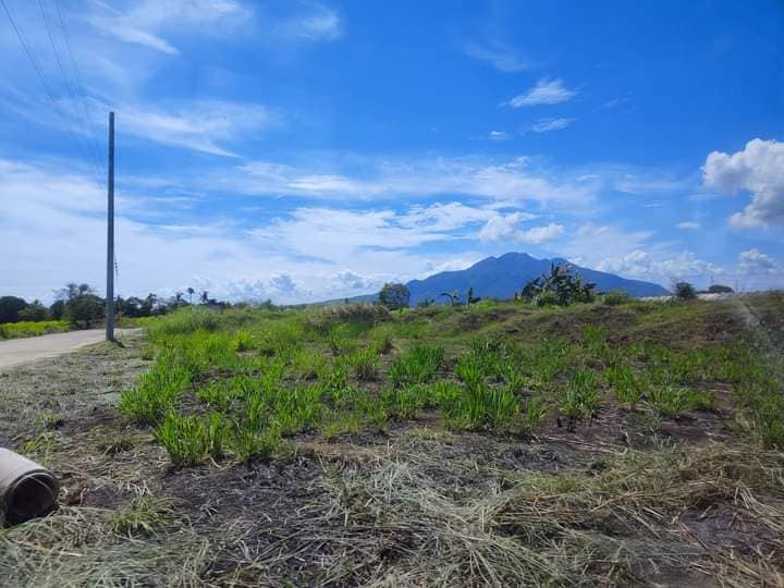 Spacious budget-friendly Residential Lot For Sale with 118sqm in Ventura Real, Calamba Laguna