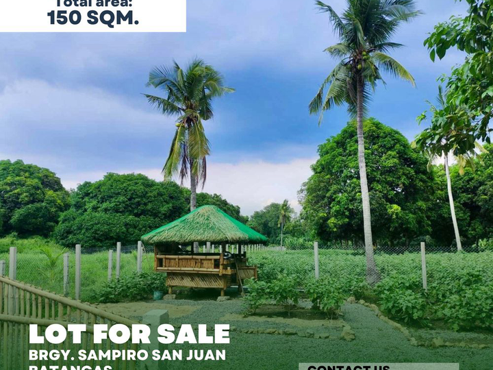 LOT FOR SALE 112 sqm Residential Farm For Sale in San Juan Batangas