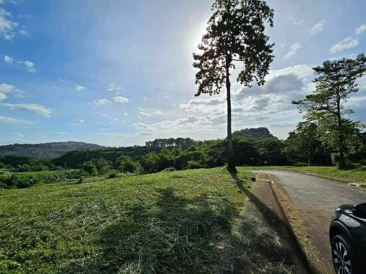 Spacious property with 351sqm Residential Lot For Sale in The Grove Forest Farms at Angono Rizal