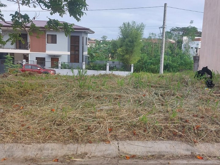 Nice Location 80sqm Residential Lot For Sale in The Glens at Parkspring San Pedro Laguna