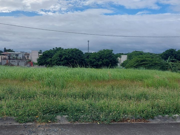 103 sqm Residential Lot For Sale in The Glens at Parkspring San Pedro Laguna