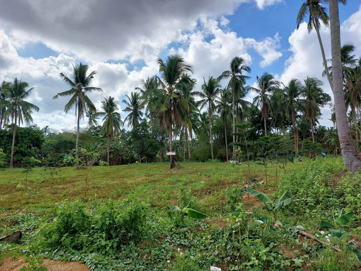 Farm Lot for Lease in Magallanes Cavite For Vacation Rental Business