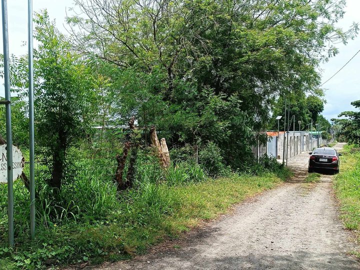 100 sqm Residential Lot for sale at Purok 24, Mabuhay, GSC. ( Near J&G Propiedad)
