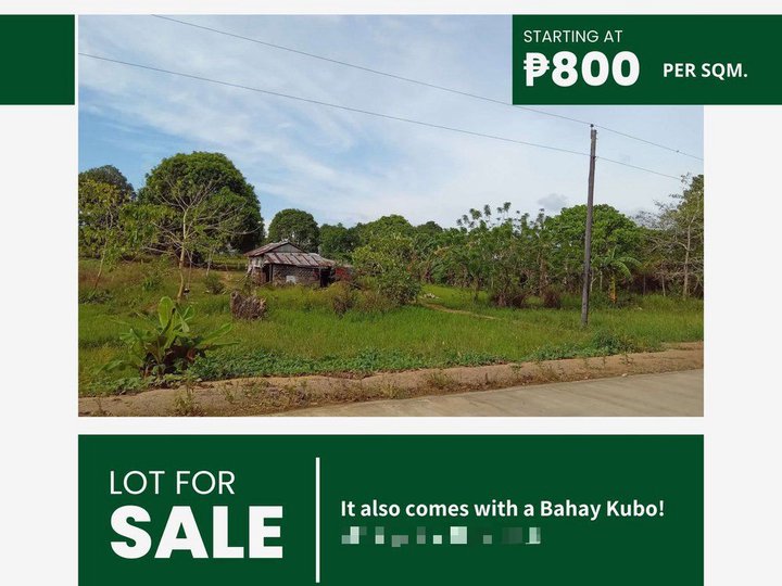 LOT FOR SALE IN NARRA, PALAWAN!