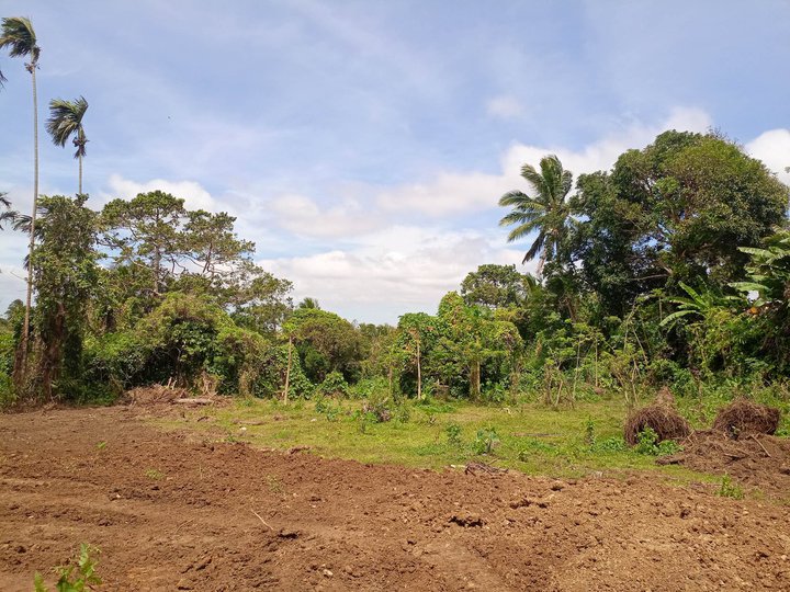 Lot for Sale-Farm lot only 1000 sqm-For Serious Buyer