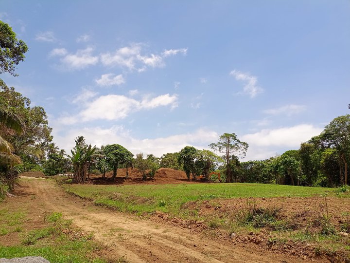 1000 sqm farm lot in Cavite for Sale with Cool climate near Tagaytay