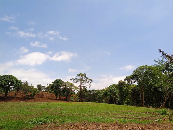 Residential farm lot near Splendido