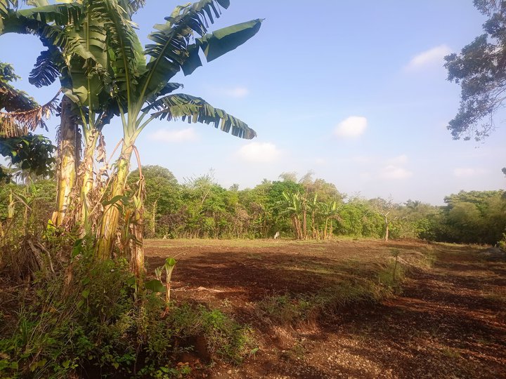 Residential Farm lot with good amenities