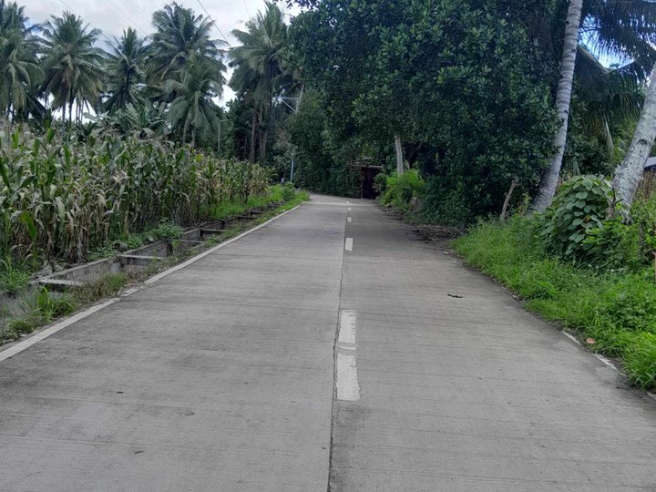 7.6 hectares Farm Lot For Sale in Polomolok South Cotabato