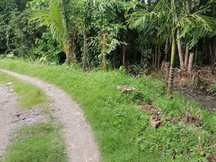Agricultural/Riceland/Farm w/ Residential lot and fishpond P150/sqm