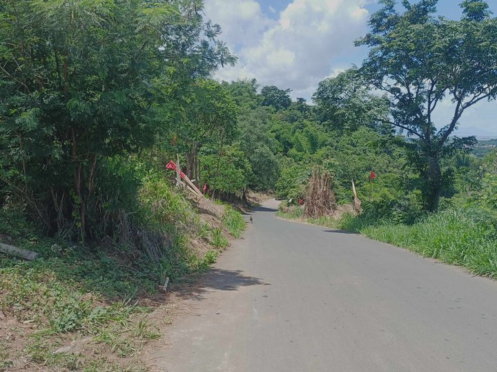 100 sqm Residential Farm For Sale in Morong Rizal