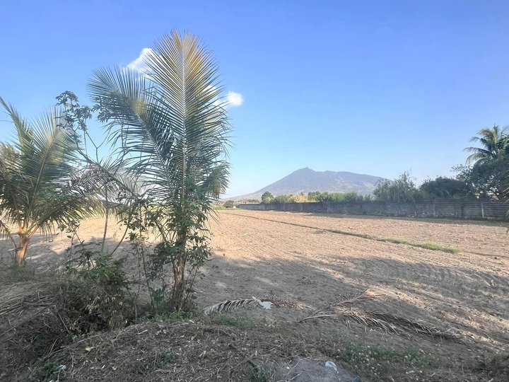 SALE: 1 hectare Farm Lot in Magalang, Pampanga