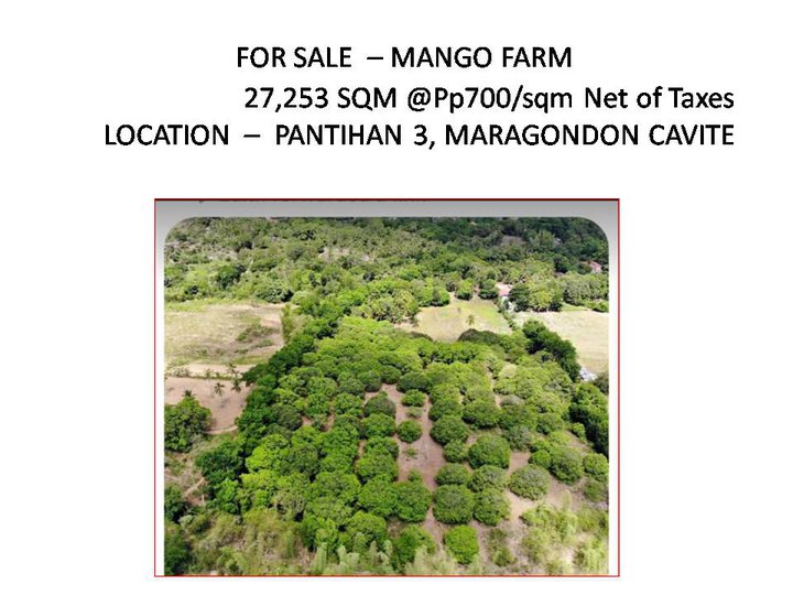 2.7253 hectares Mango Farm Lot For Sale in Maragondon Cavite