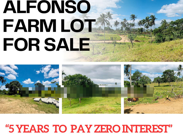 Cool Climate Alfonso Farm Lot For Sale Near Tagaytay