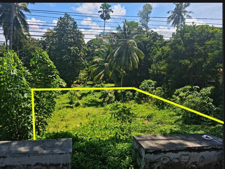 996sqm Lot along the highway (Davao-Cotabato Road) Owner's price