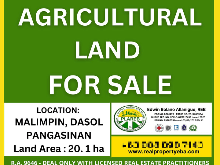 Agricultural Land located in Malimpin, Dasol, Pangasinan