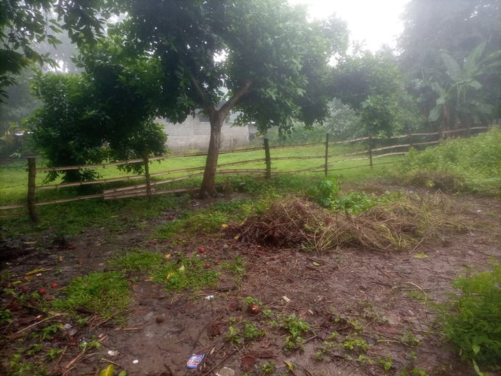Low Cost Residential Lot for sale /Mag invest hangat mura pa.