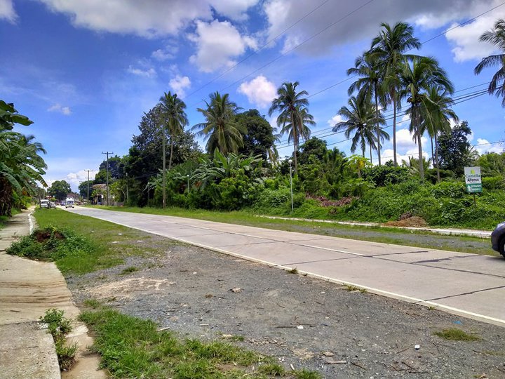 Cheap Farm Lot in Cavite near Tagaytay