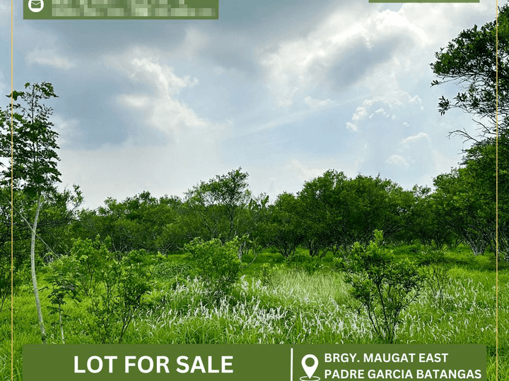 100 sqm Residential Lot For Sale in Padre Garcia Batangas