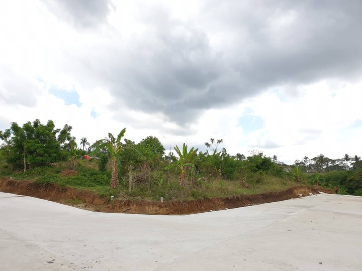 Residential Farm for sale 140 sqm in Cavite