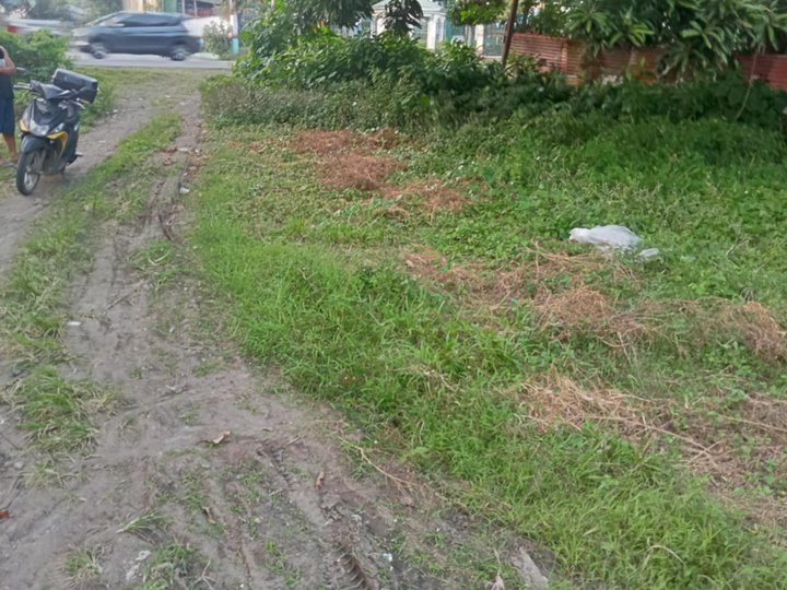 1.2 hectares land in Pila suitable in residential and commercial land