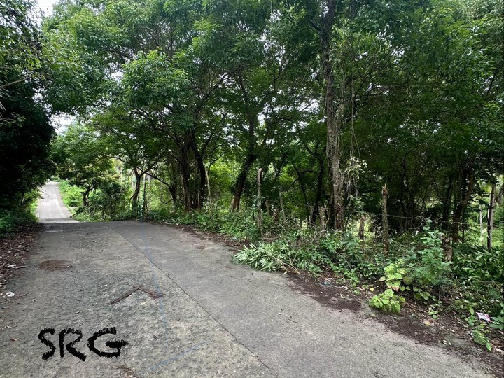 1 hectare Agricultural Farm For Sale in San Juan Batangas