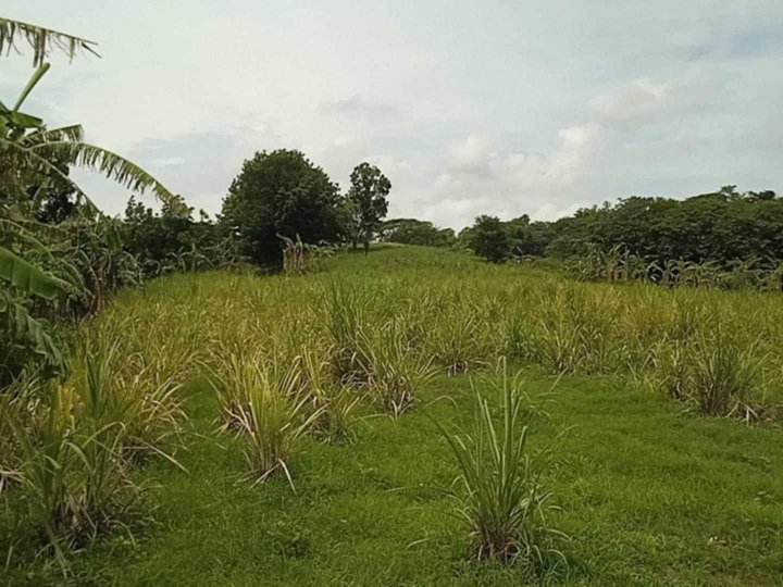 FOR SALE Residential farmlot 3 HAS  loc at lian batangas flat land 650 per sqm