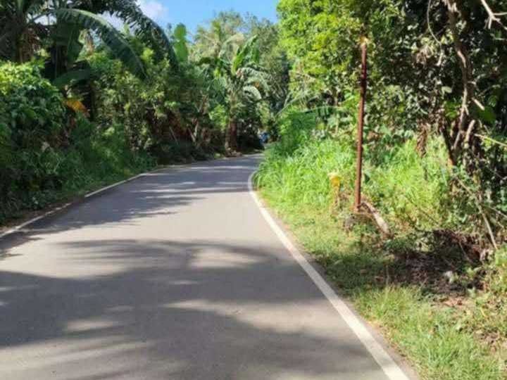 165 sqm Residential Farm For Sale in San Pablo Laguna