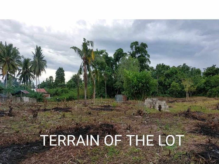 170 sqm Residential Lot For Sale in Panglao Bohol