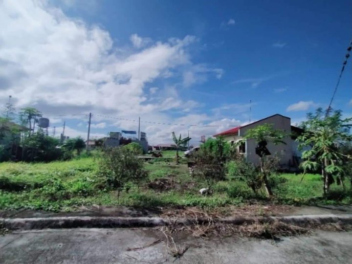 Pasalo 100sqm Residential LOT for SALE in Santa Rosa Laguna