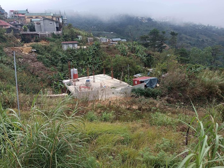 The land is a vacant residential lot and it's alongside the road